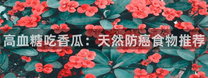 nanataipei吃瓜:高血糖吃香瓜:天然防癌食物推荐