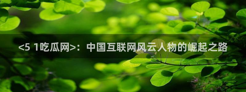 51今日吃瓜热门大瓜入口:<5 1吃瓜网>:中国互联网风云人物的崛起之路