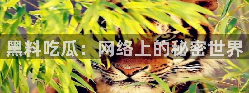 黑料.:黑料吃瓜:网络上的秘密世界